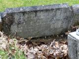 image of grave number 289504